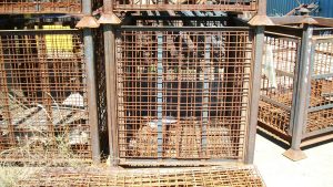 Tier-Rack Custom Warehouse Racks, Stack Racks, Wire Mesh Bins, Pad Racks, Pallet Racks, Portable Racks, Moveable Racks