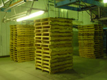 Tier-Rack Custom Warehouse Racks, Stack Racks, Wire Mesh Bins, Pad Racks, Pallet Racks, Portable Racks, Moveable Racks