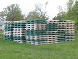 43x60-plastic-pallet1-sm(gjegq3)